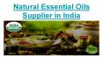 Kshrey- Natural Essential Oils Supplier in India PowerPoint PPT Presentation