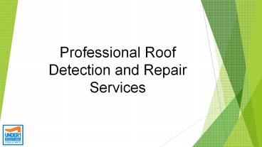 Professional Roof Detection and Repair Services