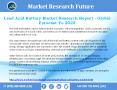 Lead Acid Battery Market Opportunities, Developments and Potential of Market from 2018-2023 PowerPoint PPT Presentation