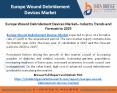 Europe Wound Debridement Devices Market– Industry Trends and Forecast to 2025 PowerPoint PPT Presentation