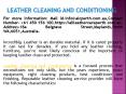 Leather Cleaning and Conditioning PowerPoint PPT Presentation