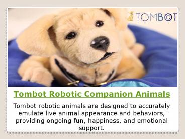 Tombot Robotic Companion Animals