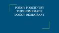 PONGY POOCH? TRY THIS HOMEMADE DOGGY DEODORANT PowerPoint PPT Presentation