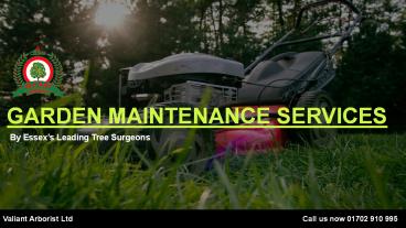 Garden Maintenance Services | Valiant Arborist