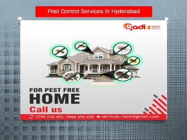 Pest control Services in hyderabad