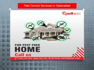Pest control Services in hyderabad