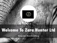 Information Presentation Of Zara Hunter