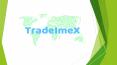 TradeImeX - Import Export Data | Trade Data | Customs Data PowerPoint PPT Presentation