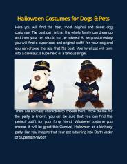 Halloween Costumes for Dogs & Pets