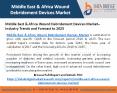 Middle East & Africa Wound Debridement Devices Market– Industry Trends and Forecast to 2025 PowerPoint PPT Presentation