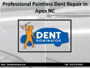 Professional Paintless Dent Repair in Apex NC