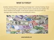 Best Forex Signal Provider (2)