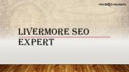 Livermore SEO Expert