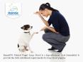 Kannis Puppy Large Breed Dog Food PowerPoint PPT Presentation