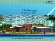 Calyx Navyangan @9821798104