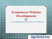 Ecommerce Website Development