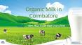 Organic Milk in Coimbatore PowerPoint PPT Presentation