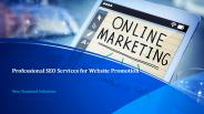 Professional SEO Services for Website Promotion