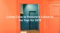 Living Coral is Pantone's Colour of the Year for 2019 PowerPoint PPT Presentation