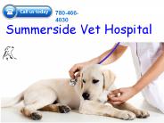 Veterinary Animal Hospital Edmonton