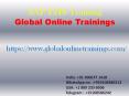 SAP EHS Training | SAP EHS Online job Support from India-GOT PowerPoint PPT Presentation