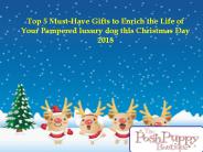 designer pet accessories