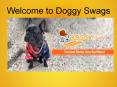 Comfort and Cool collection of dog shoes PowerPoint PPT Presentation