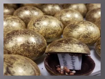 Holiday Seasonal Chocolates and Truffle Collection