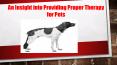 An Insight into Providing Proper Therapy for Pets PowerPoint PPT Presentation