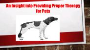 An Insight into Providing Proper Therapy for Pets