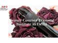 Beauty Courses Training Institute in Delhi PowerPoint PPT Presentation