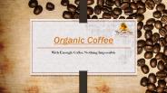 Best Coffee Distributor in USA