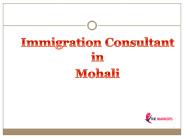 Immigration Consultant in Mohali