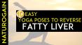 10 Easy Yoga Poses to Reverse Fatty Liver Naturally at Home PowerPoint PPT Presentation
