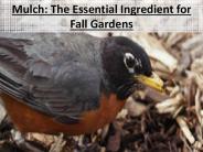 Mulch: The Essential Ingredient for Fall Gardens