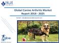 Canine Arthritis Market Report, 2018-2025 | Growth, Trends and Forecast PowerPoint PPT Presentation
