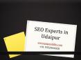 SEO Experts in Udaipur PowerPoint PPT Presentation