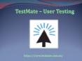 Online Website Usability Testing PowerPoint PPT Presentation