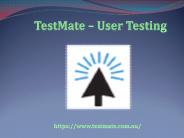 Online Website Usability Testing