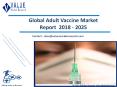 Adult Vaccine Market Outlook 2018-2025 Research Report PowerPoint PPT Presentation