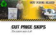 Why Should Construction Companies Be Interested In Skip Bin Hire Canberra? PowerPoint PPT Presentation