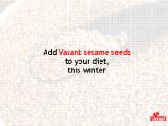 Add Vasant sesame seeds to your diet, this winter