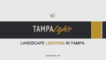 Best Landscape Lighting Installation - Tampa Lights