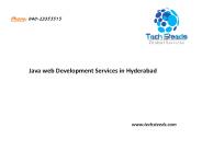 Java web Development Services in Hyderabad