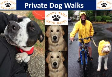 Private Dog Walks (1)