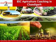 Bsc Agriculture Coaching In Chandigarh