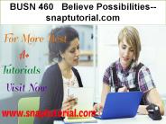 BUSN 460   Believe Possibilities--snaptutorial.com
