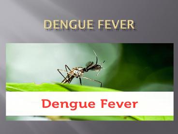 Dengue Fever