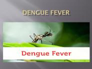 Dengue Fever (1)