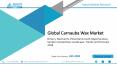 Global Carnauba Wax Market Size, Share 2018-2025, Growth Analysis Report PowerPoint PPT Presentation